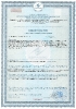 Клеточный Активатор